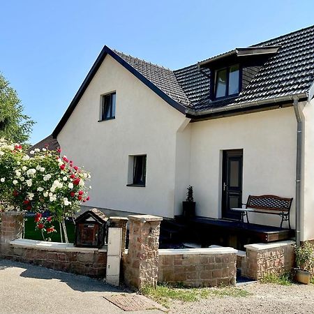 L'Escale Appartement Riquewihr Buitenkant foto