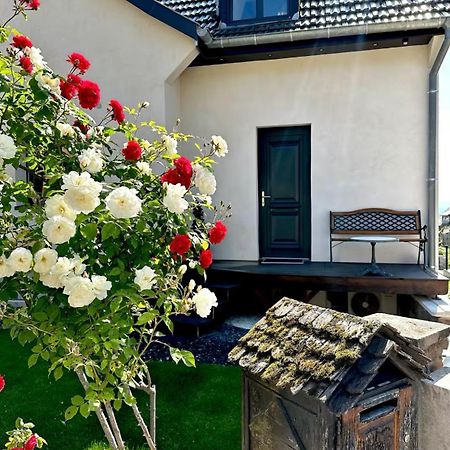 L'Escale Appartement Riquewihr Buitenkant foto