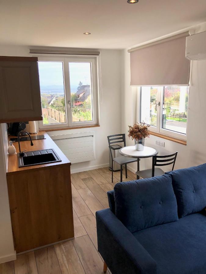 L'Escale Appartement Riquewihr Buitenkant foto