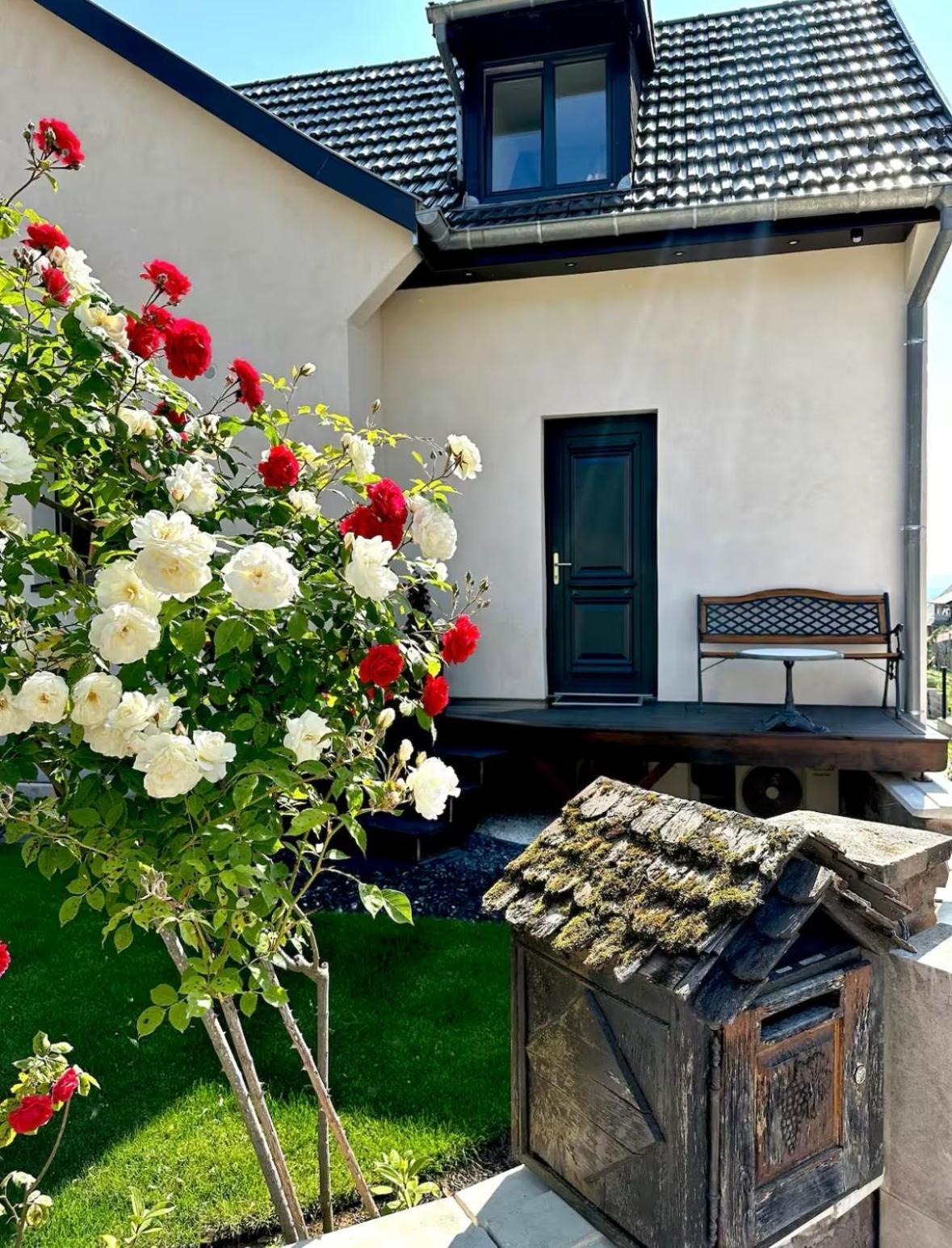 L'Escale Appartement Riquewihr Buitenkant foto